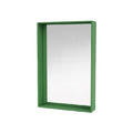 Modern Green Wall-Mounted Rectangle Mirror with Frame
